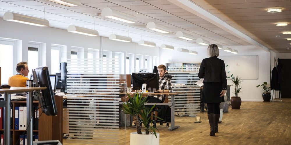 office, business, company-2360063.jpg